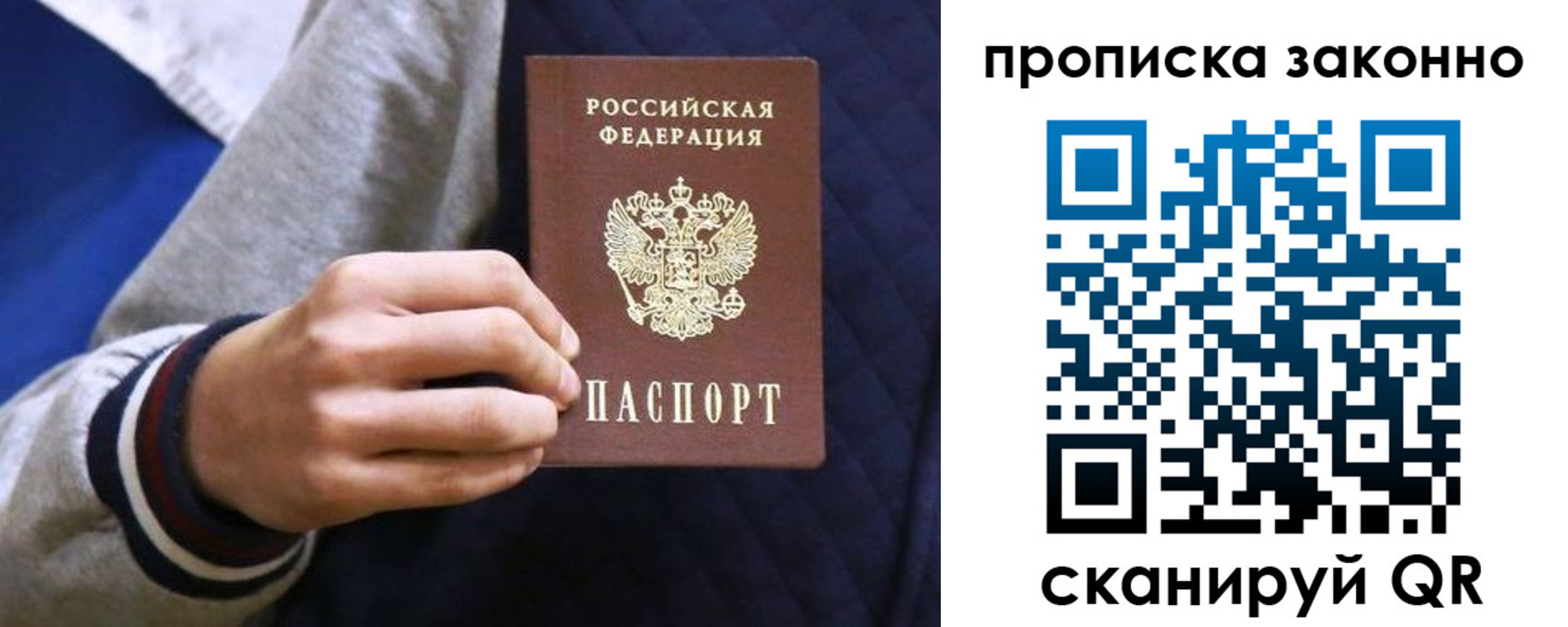 прописка гарантия в Пионерском